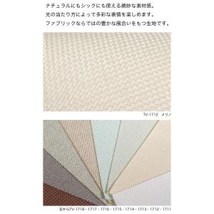 ブラインド ブラインドカーテン 縦型 バーチカ...の詳細画像5