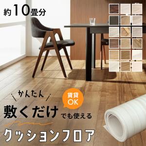 3M ダイノックシート ダイノックフィルム カッティングシート 鉄