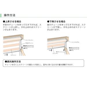 【最大★10%オフクーポン】 調光ロールスクリ...の詳細画像3