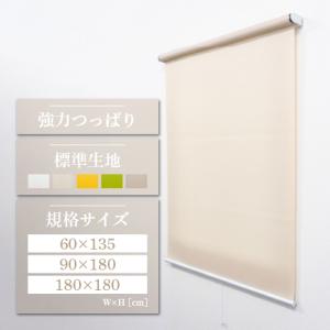 タチカワブラインド 【最大☆10%オフクーポン】 透明シート 透明ロール
