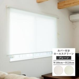 タチカワブラインド 【最大☆10%オフクーポン】 透明シート 透明ロール