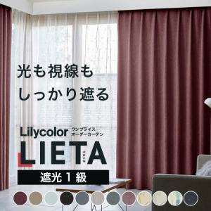 サンゲツ（SANGETSU） 【最大☆10%オフクーポン】 カーテン レース