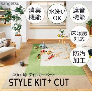 スタイルキット+ CUT カット タイプ 20枚...の商品画像