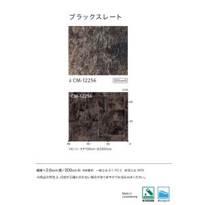 【*送料無料(わEX便)】サンゲツ HOME ...の詳細画像2
