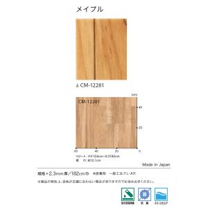 【*送料無料(わEX便)】サンゲツ HOME ...の詳細画像2