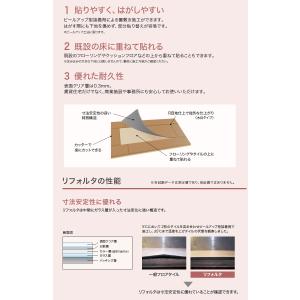 【送料無料】【わEX対応】かんたんリフォームタ...の詳細画像1