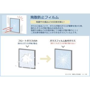 【*送料無料(わEX便)】ガラスフィルム サン...の詳細画像5