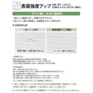 【*送料無料(わEX便)】壁紙 のりなし壁紙 ...の詳細画像3