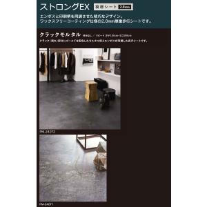 【*送料無料(わEX便)】サンゲツ Sフロア ...の詳細画像1