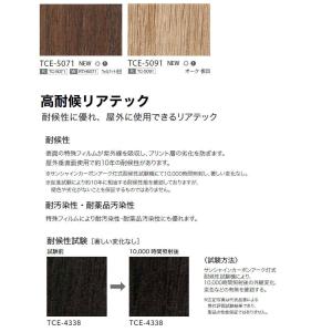 【*送料無料(わEX便)】サンゲツ リアテック...の詳細画像3