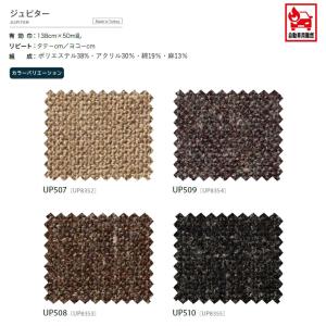 【*送料無料(わEX便)】サンゲツ 椅子生地 ...の詳細画像1