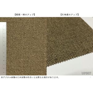 【*送料無料(わEX便)】サンゲツ 椅子生地 ...の詳細画像2