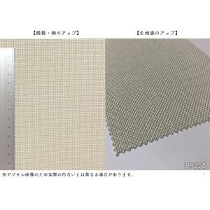 【*送料無料(わEX便)】サンゲツ 椅子生地 ...の詳細画像3