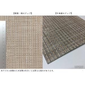 【*送料無料(わEX便)】サンゲツ 椅子生地 ...の詳細画像3