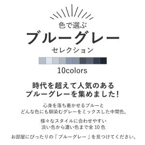 ペンキ パウチサンプル ブルーグレー 10ml...の詳細画像1