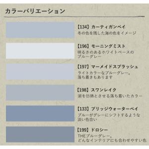 ペンキ パウチサンプル ブルーグレー 10ml...の詳細画像2
