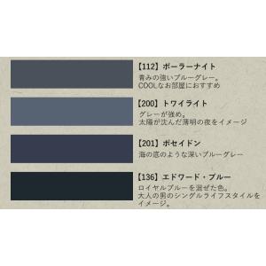 ペンキ パウチサンプル ブルーグレー 10ml...の詳細画像3