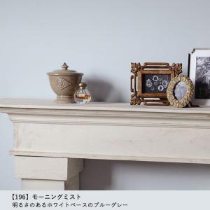 ペンキ パウチサンプル ブルーグレー 10ml...の詳細画像5