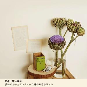 ペンキ パウチサンプル ホワイト 白 水性 壁...の詳細画像2