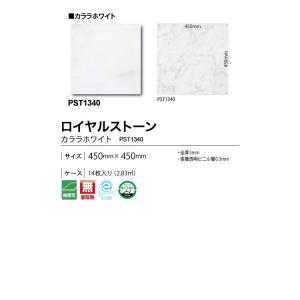 サンプル専用 フロアタイルサンプル 東リ/タイルコレクション 2016-2019PST-1340