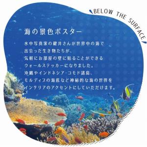 ポスター ウォールステッカー 海 はがせる ウ...の詳細画像1