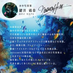 ポスター ウォールステッカー 海 はがせる ウ...の詳細画像2