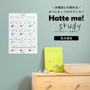 貼ってはがせる ステッカー 色の混色 A3サイズ...の商品画像