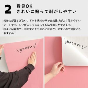 壁紙シール はがせる 無地 モノクロ カラー ...の詳細画像5