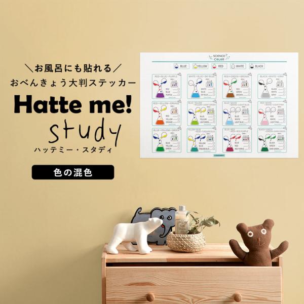 貼ってはがせる ステッカー 色の混色 60cm×40cm Hatte me Study ハッテミース...