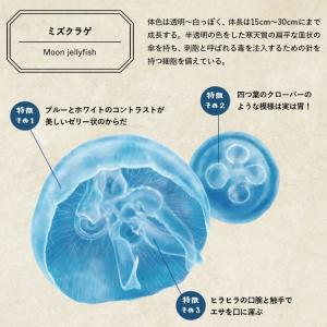 ウォールステッカー 壁紙シール はがせる ミズ...の詳細画像5
