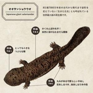 ウォールステッカー 壁紙シール はがせる オオ...の詳細画像5
