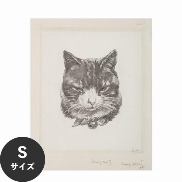 はがせる アートポスター インテリア Sサイズ 36×45 イラスト 猫 ネコ 賃貸OK 水だけで貼...