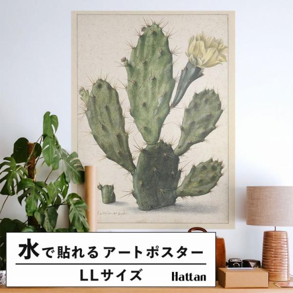 はがせる アートポスター インテリア LLサイズ ボタニカル サボテン 90×120 賃貸OK 水だ...