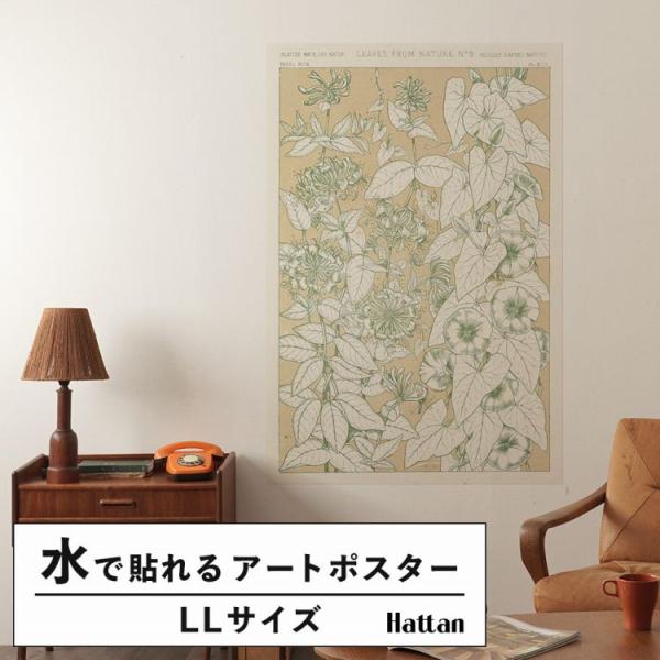 はがせる アートポスター インテリア LLサイズ 植物 ボタニカル 北欧 90×134 賃貸OK 水...