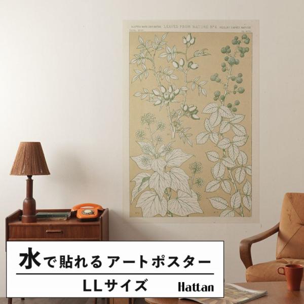 はがせる アートポスター インテリア LLサイズ 植物 ボタニカル 北欧 90×134 賃貸OK 水...