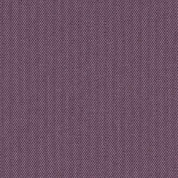 はってはがせる 輸入壁紙 無地 rasch 423976 Poetry II m単位切売 紫 パープ...