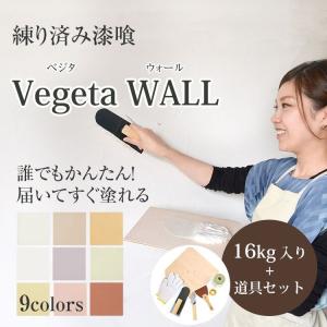 漆喰 しっくい 練済み 塗り壁 ベジタウォール Vegeta WALL 1箱16kg入り+道具7点 約8.8〜12平米 畳 約6.6枚分