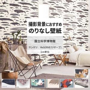 壁紙 のりなし m単位 おしゃれ 壁紙クロス 張り替え 自分で 恐竜 鳥類 鉱物 国立科学博物館 サンゲツ DIY 壁紙の上から貼れる壁紙