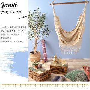 ペンキ サンプル 10ml イマジン シャウエ...の詳細画像5
