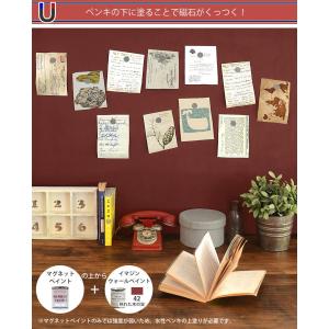ペンキ マグネットがくっつく 水性ペンキ イマ...の詳細画像1