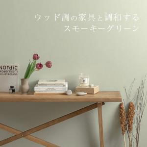 ペンキ パウチ カラーサンプル 水性 壁紙の上...の詳細画像1