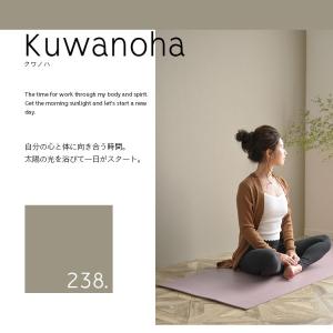 ペンキ 水性塗料 2L イマジン ウォール ペ...の詳細画像5