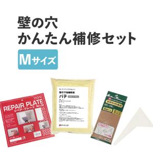 壁紙 施工道具 補修 セット 壁の穴 キズ補修 下地補修 壁の穴 セット RIP6インチ P 1kg PB 中 SPセット kabe1021