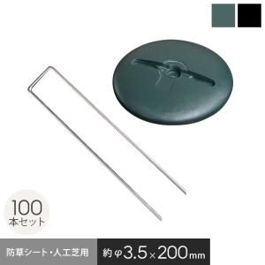 防草シート ピン 20cm ドーム型ワッシャー付き 100本セット 角U型ピン