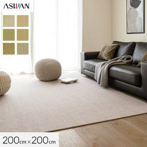 東リ（TOLI） ラグカーペット ラグ Plain 140×200cm TOR4601-M