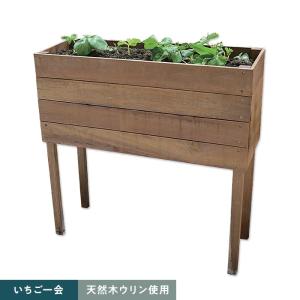 エクステリア 段々花壇 家庭用 天然木 ウリン 900×105 1枚貼り 20mm厚