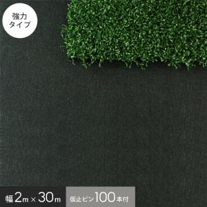 ザバーン同等品 防草シート 人工芝の下地材に グリーンビスタ プロ 砂利下シート 240J(強力タイプ) 幅2m×30m (プラピン100本付)