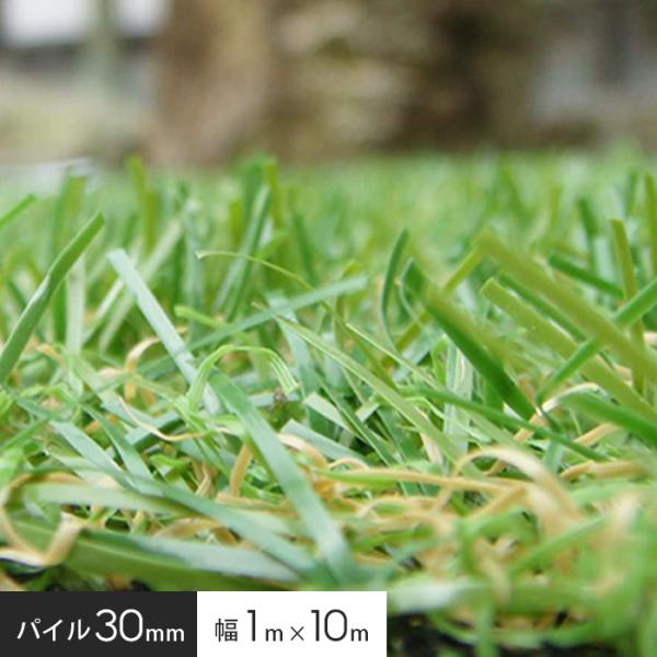 人工芝 パイル30mm 幅1m×10m巻 FHG-110