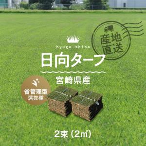 高麗芝15m2 産地直送で購入 天然芝 クール便 芝生 高麗芝 宮崎県産 2束（2平米）入 ソッド