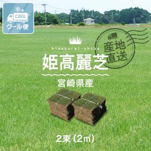 天然芝 クール便 芝生 野芝 日向ターフ 省管理型 宮崎県産 2束（2平米